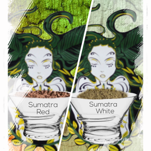 Sumatra Soorten    *White =tijdelijk 1,5 kg!