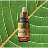 Kratom oil  10 and 20ml with Mitragynine / Vanilla/    * High  discount/