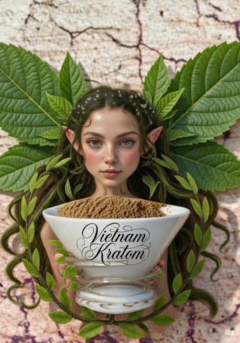 Vietnamese  Capsules 