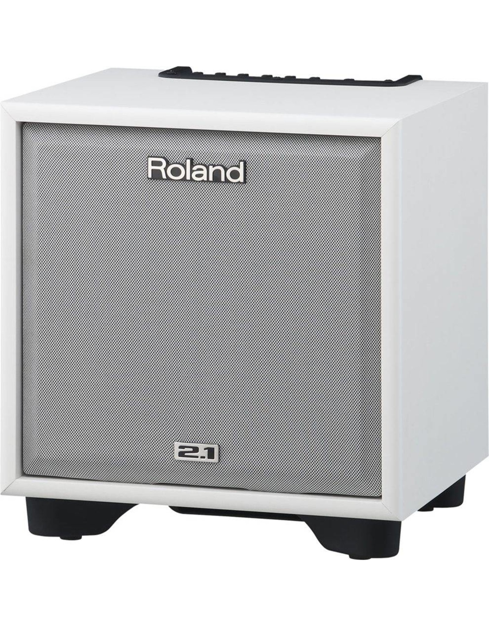 Roland CM-110 CUBE 2.1 Monitor System - White B-stock