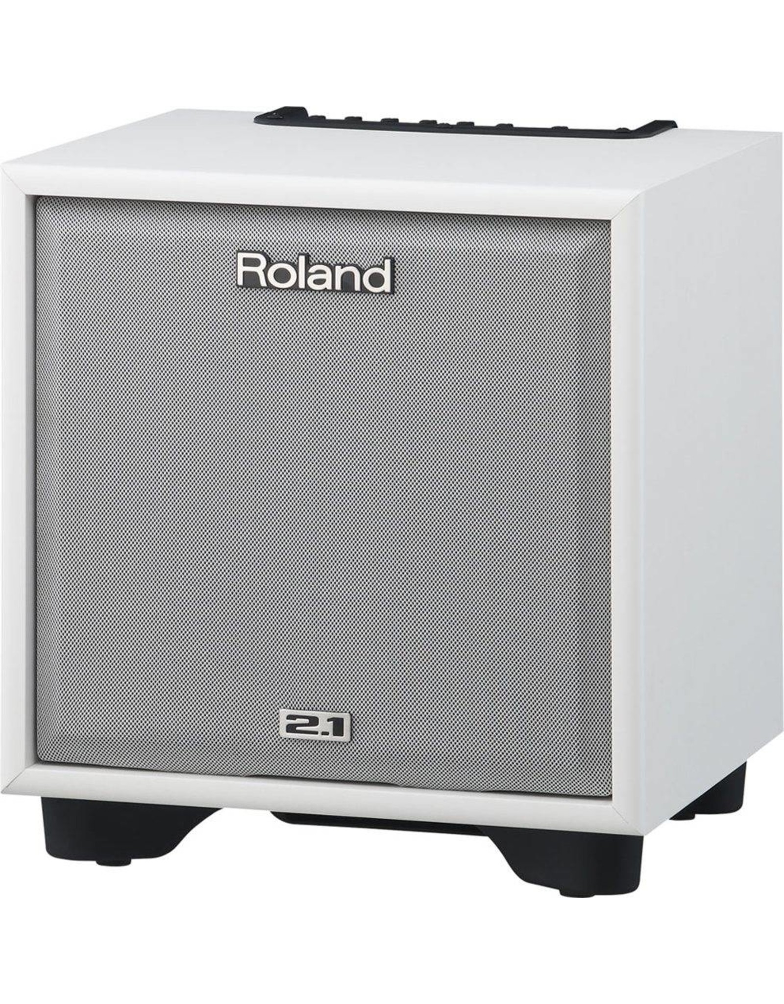 Roland CM-110 CUBE 2.1 Monitor System - White B-Stock