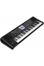 Roland BK-3 BK Backing Keyboard