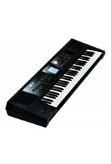 Roland BK-3 BK Backing Keyboard - Copy