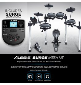 Alesis Surge Mesh kit