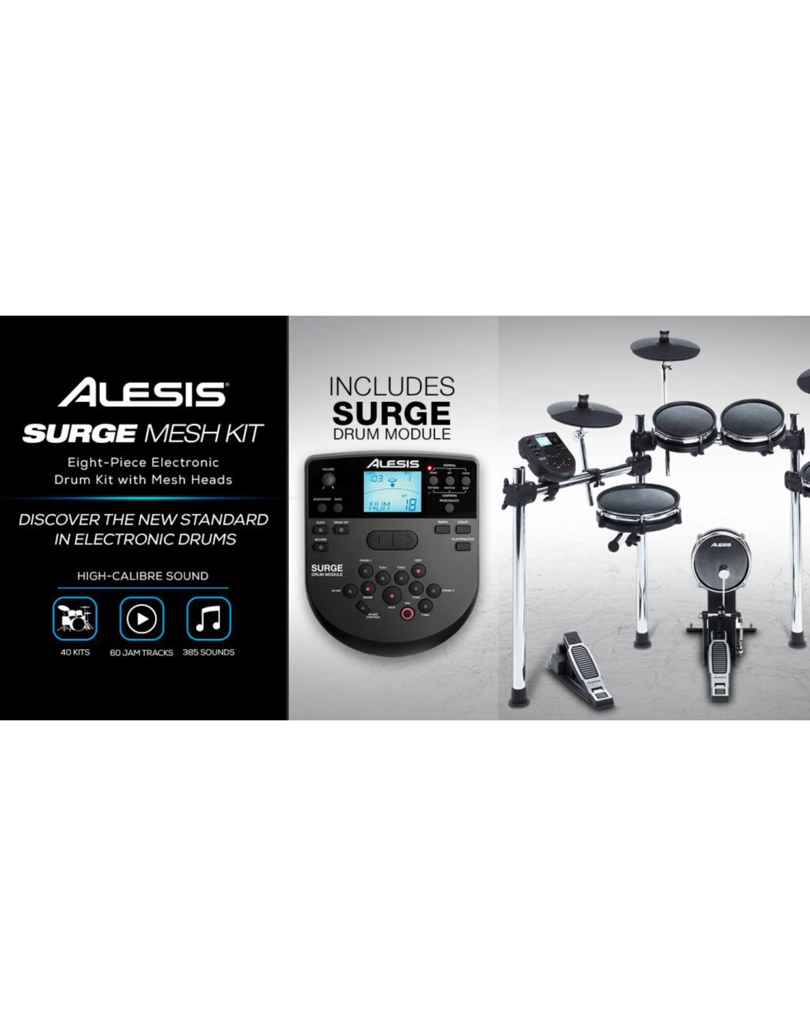Alesis Surge Mesh kit
