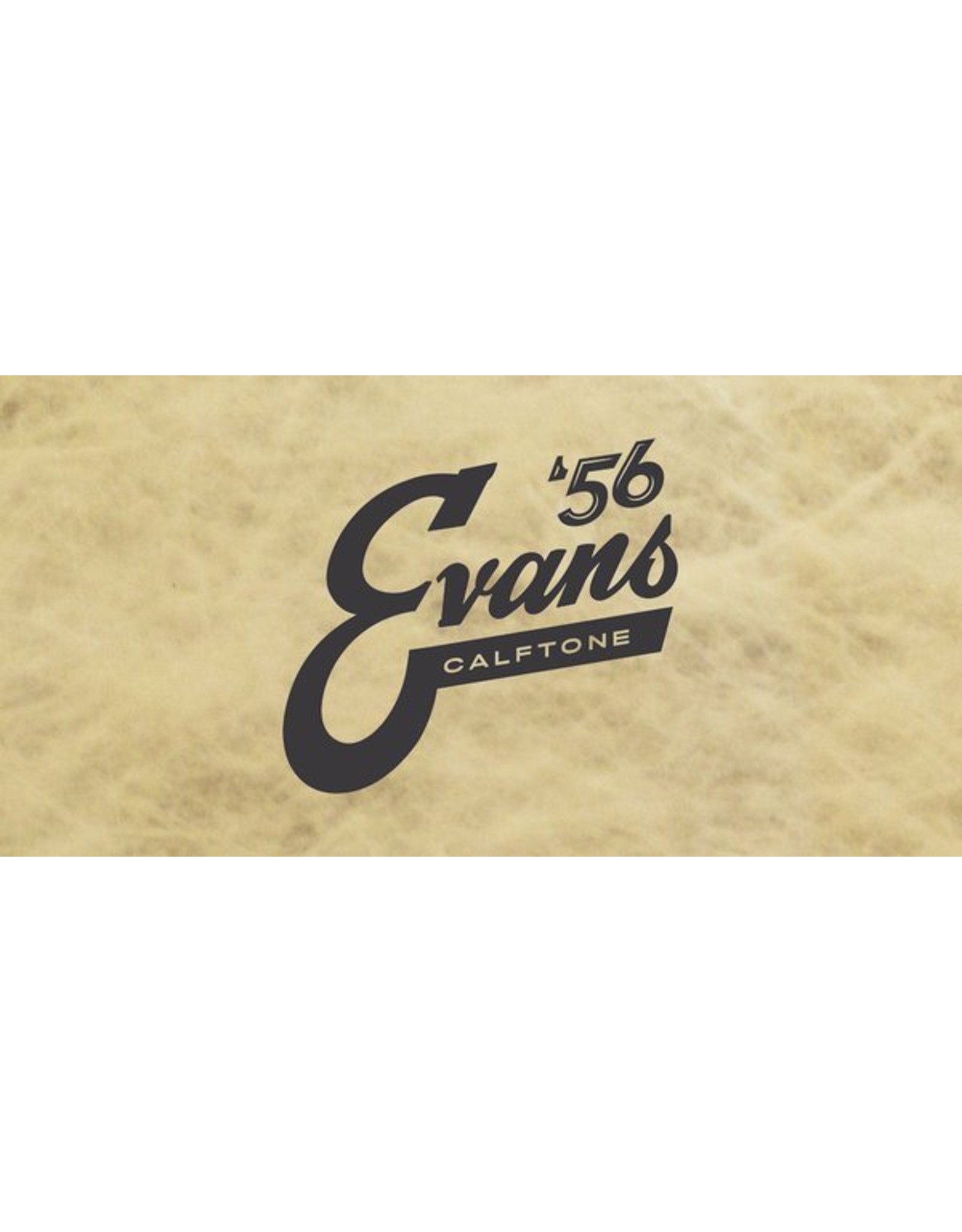 Evans EVANS EVATT08C7 08'' CALFTONE TOM VEL