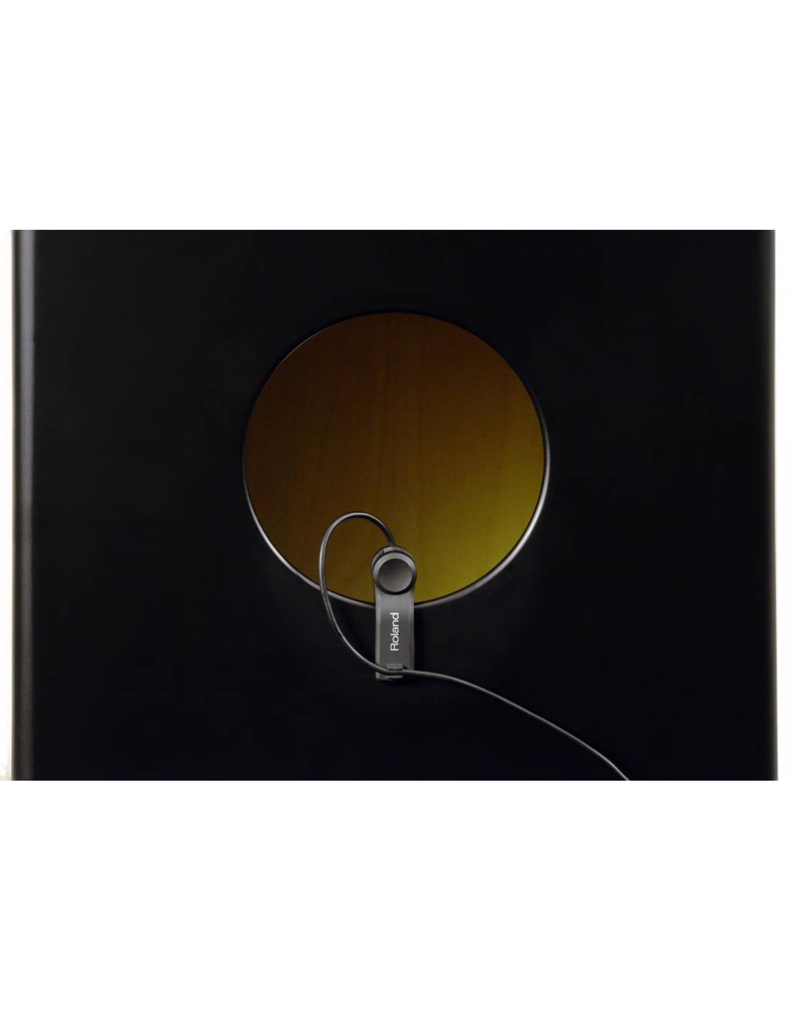 Roland EC - 10M El Cajon Mic-Prozessor