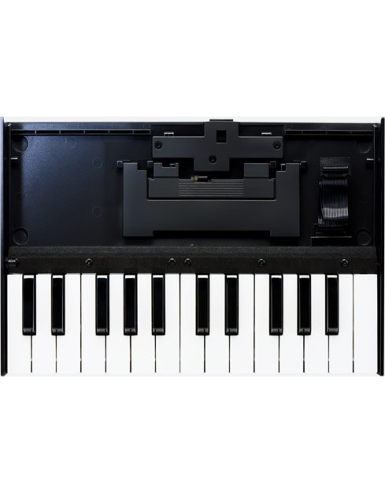 Roland K-25m for Boutique keyboard synthesizer