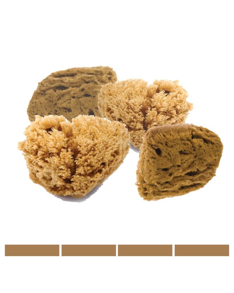 Natural Intimacy Eco Gezichts- en Make-up Sponsjes Natural Intimacy Eco Gezichts- en Make-up Sponsjes