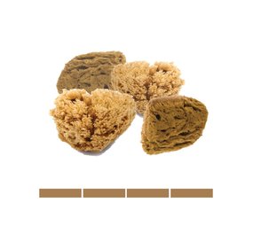 Natural Intimacy Eco Gezichts- en Make-up Sponsjes Natural Intimacy Eco Gezichts- en Make-up Sponsjes