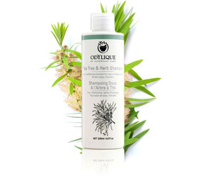 Odylique Tea Tree & Kruiden Shampoo Odylique Tea Tree & Kruiden Shampoo