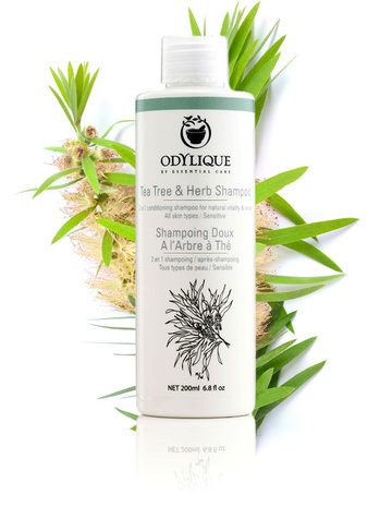 Odylique Tea Tree & Kruiden Shampoo