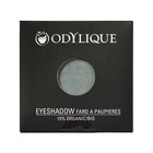 Odylique Biologische Oogschaduw Lagoon