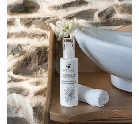 Odylique Zuiverende Gezichtswash Citroen & Tea Tree