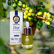 Arc en Sels •Ultimate Bio• Groene Koffie Olie Elixer Arc en Sels •Ultimate Bio• Groene Koffie Olie Elixer