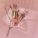 Le Rouge Français Lipolie Artemis • Rose Le Rouge Français Lipolie Artemis • Rose