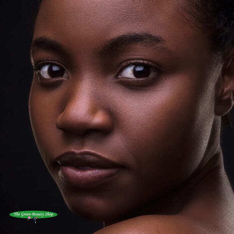 Odylique Natural Foundation N°90