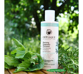 Odylique Revitaliserende Rozemarijn Shampoo Odylique Revitaliserende Rozemarijn Shampoo