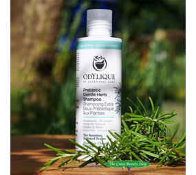 Odylique Prebiotische Milde Kruiden Shampoo Odylique Prebiotische Milde Kruiden Shampoo