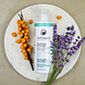 Odylique Prebiotische Conditioner Lavendel & Duindoorn Odylique Prebiotische Conditioner Lavendel & Duindoorn