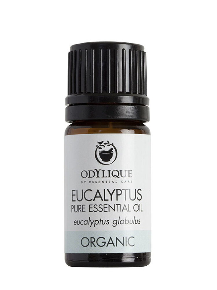 Essentiële Olie Eucalyptus Essentiële Olie Eucalyptus