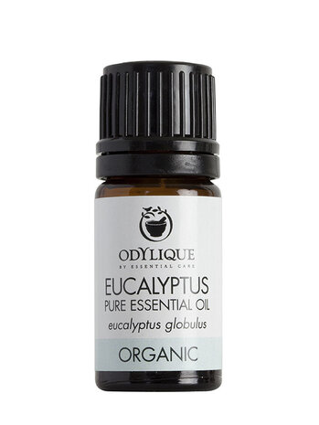 Essentiële Olie Eucalyptus Essentiële Olie Eucalyptus