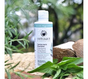 Odylique Milde Kruiden Shampoo