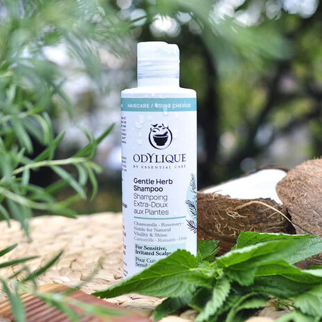Odylique Milde Kruiden Shampoo