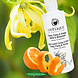 Odylique Ylang Ylang & Sinaasappel Bodywash
