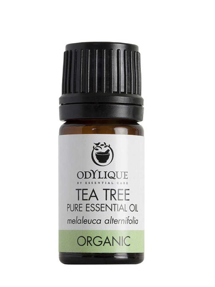 Odylique Essentiële Olie Tea Tree