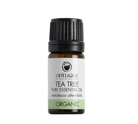 Odylique Essentiële Olie Tea Tree SALE