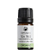 Odylique Essentiële Olie Tea Tree
