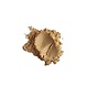 Purèz Minerale Foundation Classic WL-F10