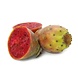 Arc en Sels Biologische Pure Cactusvijgolie • Elixer Arc en Sels Biologische Pure Cactusvijgolie • Elixer