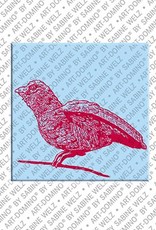 MAGNET-STORIES Ulm – Ulmer Spatz