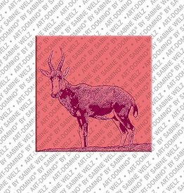 MAGNET-STORIES Magnet - Rehbock - 01