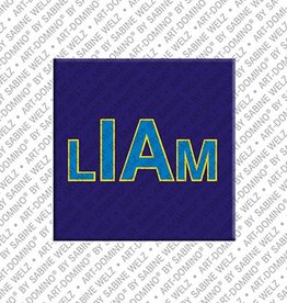 MAGNET-STORIES Magnet - LIAM