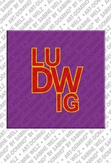 ART-DOMINO® BY SABINE WELZ Ludwig - Magnet with the name Ludwig