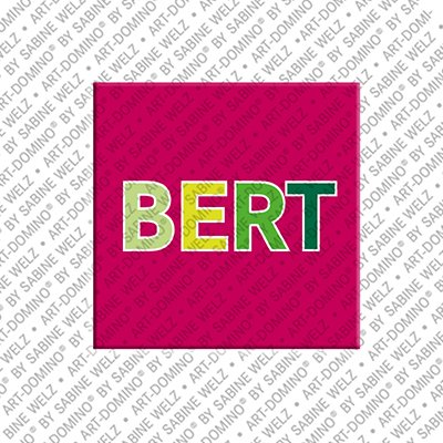 ART-DOMINO® BY SABINE WELZ Bert - Magnet with the name Bert