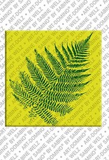 ART-DOMINO® BY SABINE WELZ Neuseeland - Silber Farn