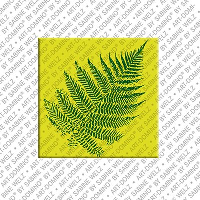 MAGNET-STORIES New Zealand - Silver Farn