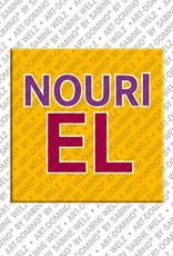 MAGNET-STORIES Nouriel - Magnet with the name Nouriel