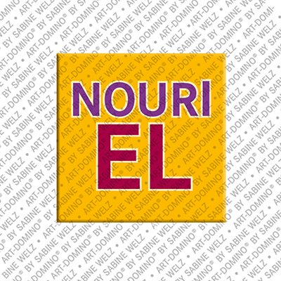 MAGNET-STORIES Nouriel - Magnet with the name Nouriel