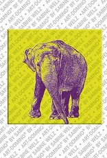 MAGNET-STORIES Animals in POP ART - Elefant