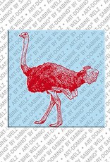 MAGNET-STORIES Animals in POP ART - Ostrich