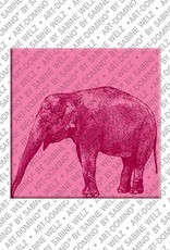 MAGNET-STORIES Animals in POP ART - Elefant