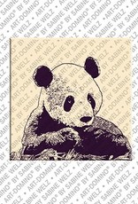 MAGNET-STORIES Animals in POP ART - Panda