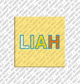 MAGNET-STORIES Aimant - LIAH