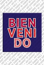 MAGNET-STORIES Bienvenido - Magnet with the name Bienvenido