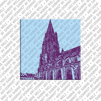 MAGNET-STORIES Freiburg – Münster 2